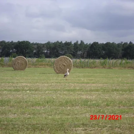 Apartment Lindensweet Lindwedel