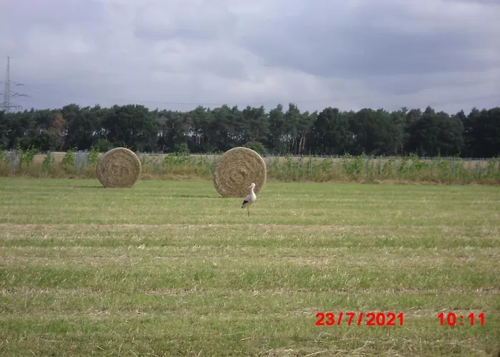 Appartement Lindensweet Lindwedel